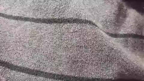 skeetzmgee online show from November 12, 5:48 pm