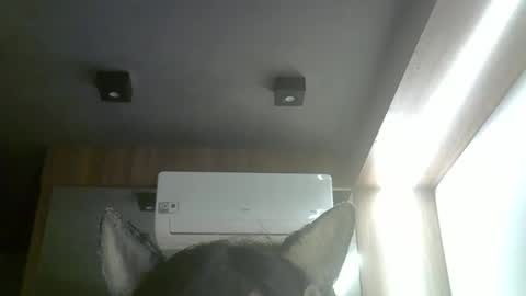 skinnykittencam online show from March 27, 8:37 am