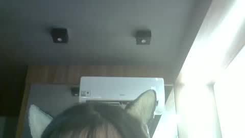 skinnykittencam online show from April 11, 3:38 pm