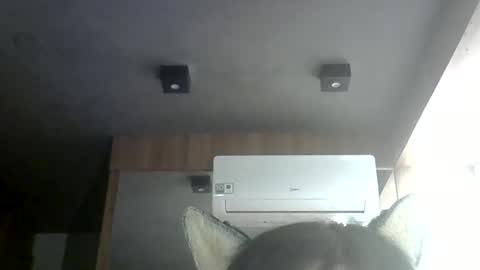 skinnykittencam online show from June 6, 4:13 pm