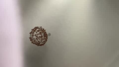 skuzzy25 online show from March 3, 8:49 am