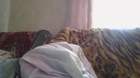 skyressie333 online show from April 7, 5:53 am