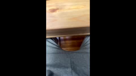 slappingmeatymeat online show from January 8, 6:47 pm