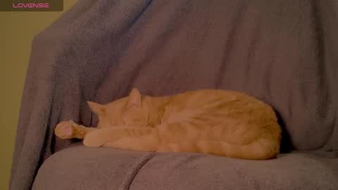 SleepyLibertine online show from January 31, 9:45 pm