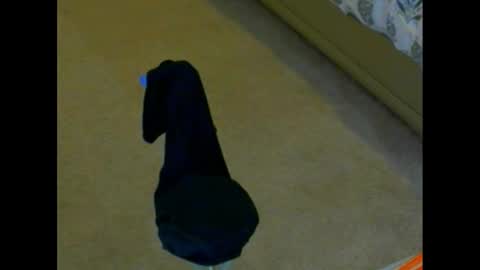 Snapshot of snizniz chatting on December 2, 4:04 pm snizniz online show from December 2, 4:04 pm