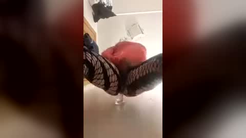 snowbunny56538290 online show from August 2, 6:48 am