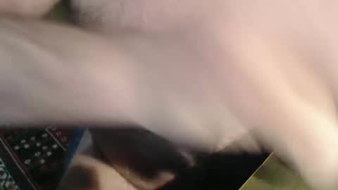 Snapshot of snudge432 chatting on January 4, 4:22 pm snudge432 online show from January 4, 4:22 pm