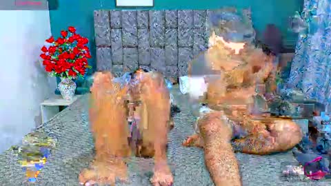 SOFFI AND CHISTOPHER online show from November 11, 7:49 pm