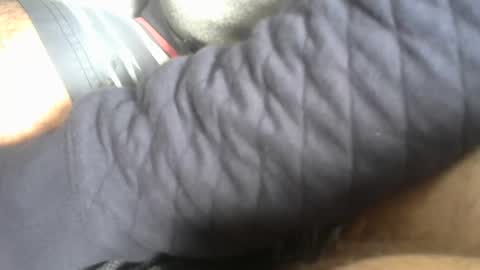 Snapshot of solitariodf2022 chatting on January 18, 11:54 am solitariodf2022 online show from January 18, 11:54 am