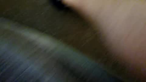 Snapshot of species98 chatting on December 31, 10:15 am species online show from December 31, 10:15 am