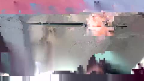 spence6669_tree online show from November 25, 6:18 pm