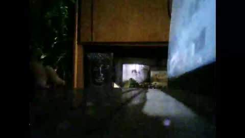 sportlopexhib online show from January 13, 2:21 pm