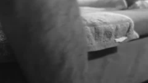 Spruzzone online show from March 1, 11:42 pm