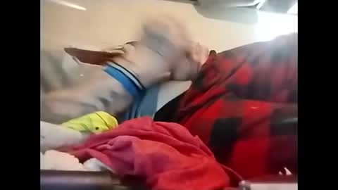 spundaddyandprincess online show from December 8, 2:30 pm