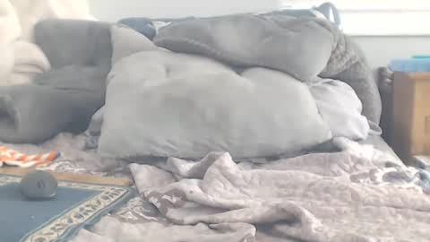 Squirt south beach withdaddy online show from February 12, 1:16 pm