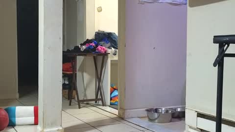 Submissive Slut LOVES adoration online show from January 29, 12:45 pm