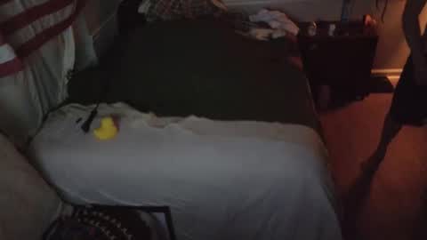 staloney online show from February 15, 9:52 am