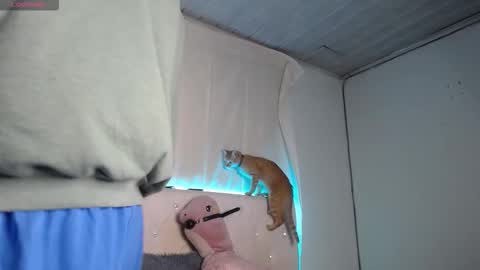 Stand and Rose online show from December 22, 5:36 am