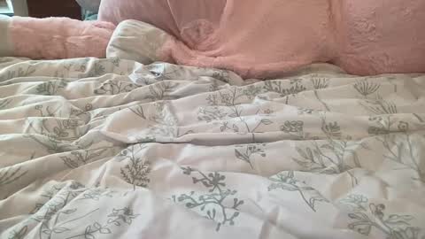 Stassiethatsororitygirl online show from February 22, 8:53 pm