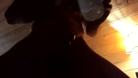 Steff online show from September 14, 1:23 pm