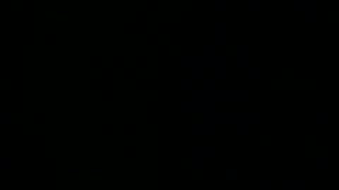 steflab online show from December 22, 11:28 am