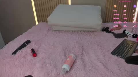 Stephany online show from November 19, 5:40 am