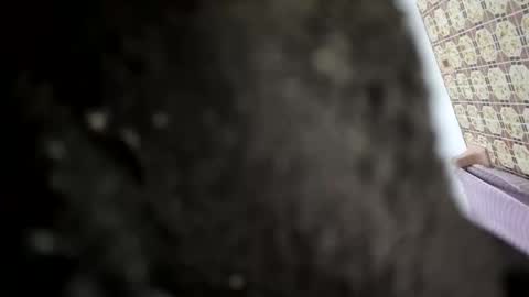 stevejoexxx14 online show from February 4, 9:49 am