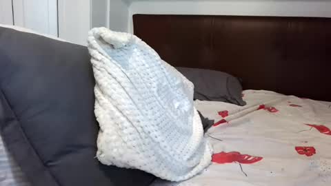 stevenpit online show from August 1, 5:42 am