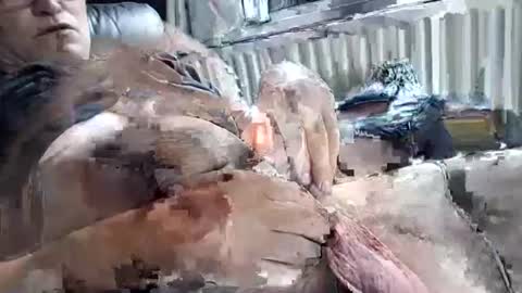 stud_1975 online show from June 27, 11:49 am