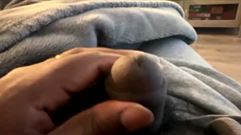 Let me be your knight that saves you online show from January 7, 8:47 pm