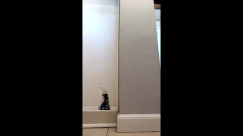 suthernswagga online show from January 12, 6:59 pm