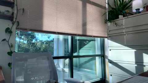 Snapshot of sweetgapeach1 chatting on October 14, 12:52 pm sweetgapeach1 online show from October 14, 12:52 pm