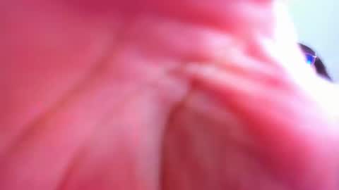 Isabella online show from February 1, 6:00 am