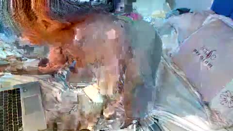 Cute vixen online show from December 2, 12:35 pm