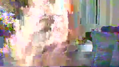 Cute vixen online show from December 11, 2:30 am