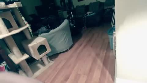 tacken online show from November 15, 6:15 am