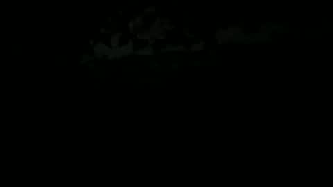 shanny online show from January 19, 4:22 am