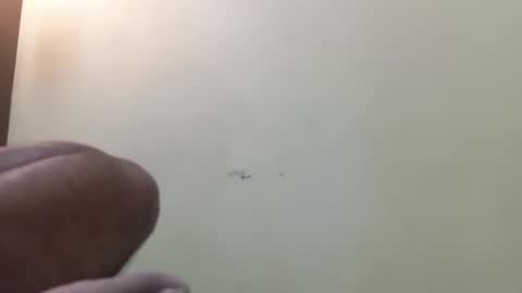 Snapshot of tamil30 chatting on October 7, 7:59 am tamil30 online show from October 7, 7:59 am