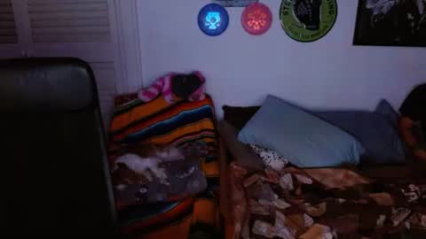 Tangled Monkey online show from June 22, 2:50 am