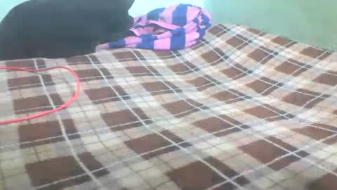 tania006 online show from January 13, 7:32 am