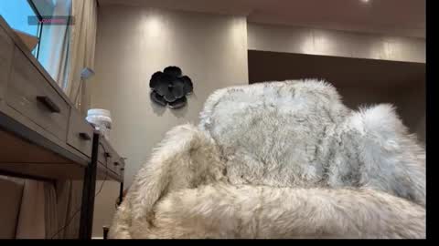 Tank Guy online show from March 23, 9:53 pm