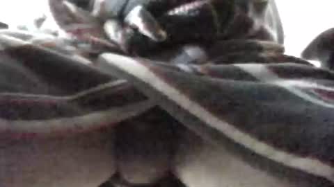 Patrick online show from February 16, 7:48 am