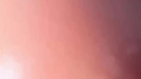 Viola online show from April 2, 9:33 pm