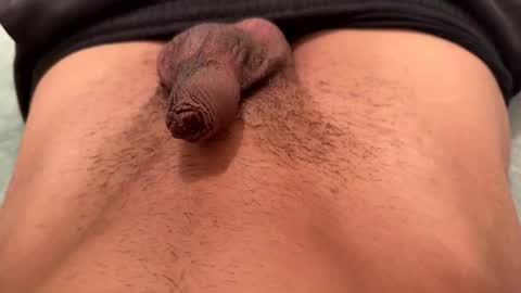 tasmanwawatai27 online show from March 1, 9:57 am