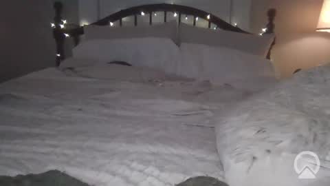 Sav online show from February 20, 12:43 am