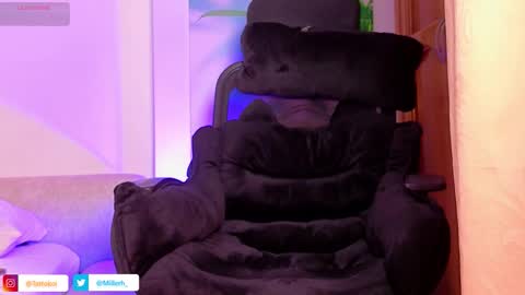 tattokoi online show from November 6, 2:14 am