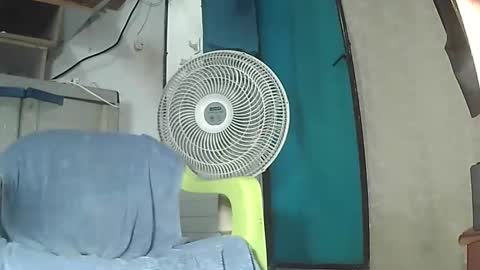 alvarito online show from October 3, 2:43 am