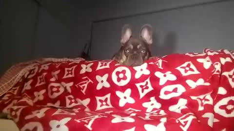 tay754878 online show from November 7, 12:18 pm