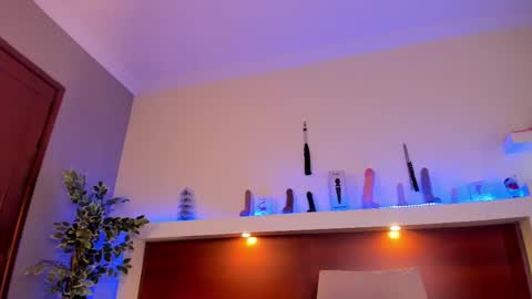 Taylor online show from February 12, 2:54 pm