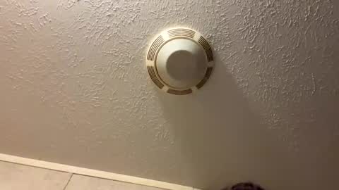 Lilbeebs online show from October 27, 10:54 pm